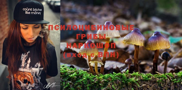 СК Алзамай