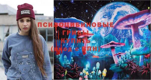 эйфоретик Алексин